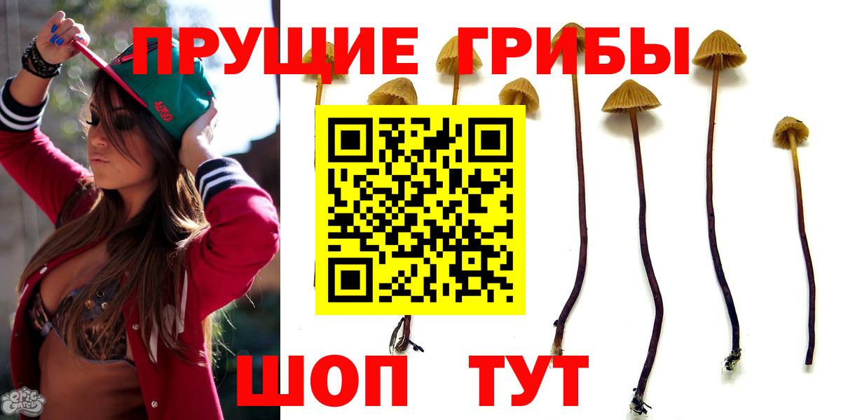 Галлюциногенные грибы прущие грибы Туапсе