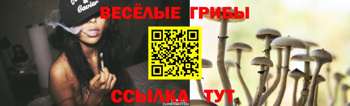 Галлюциногенные грибы прущие грибы  Вход с VPN  Туапсе 